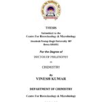 COVER PAGE PHD